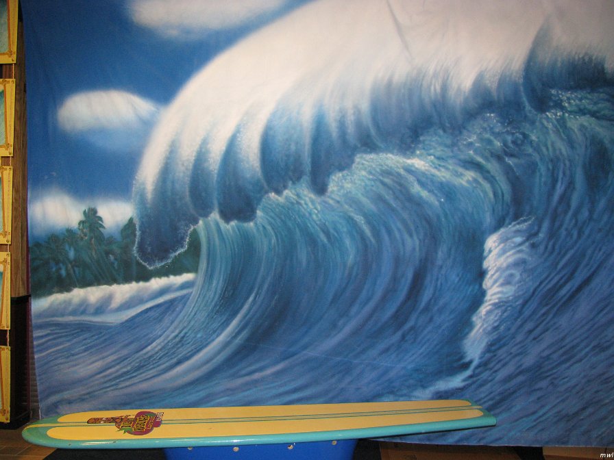 Tour de la rue principal de Waikiki