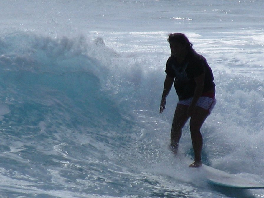Visite de la côte occidentale de Oahu