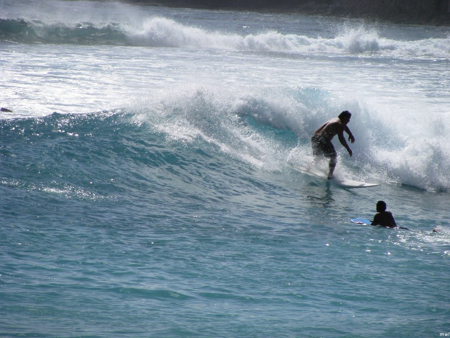 Visite de la côte occidentale de Oahu