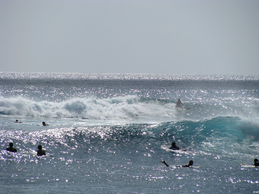 Visite de la côte occidentale de Oahu
