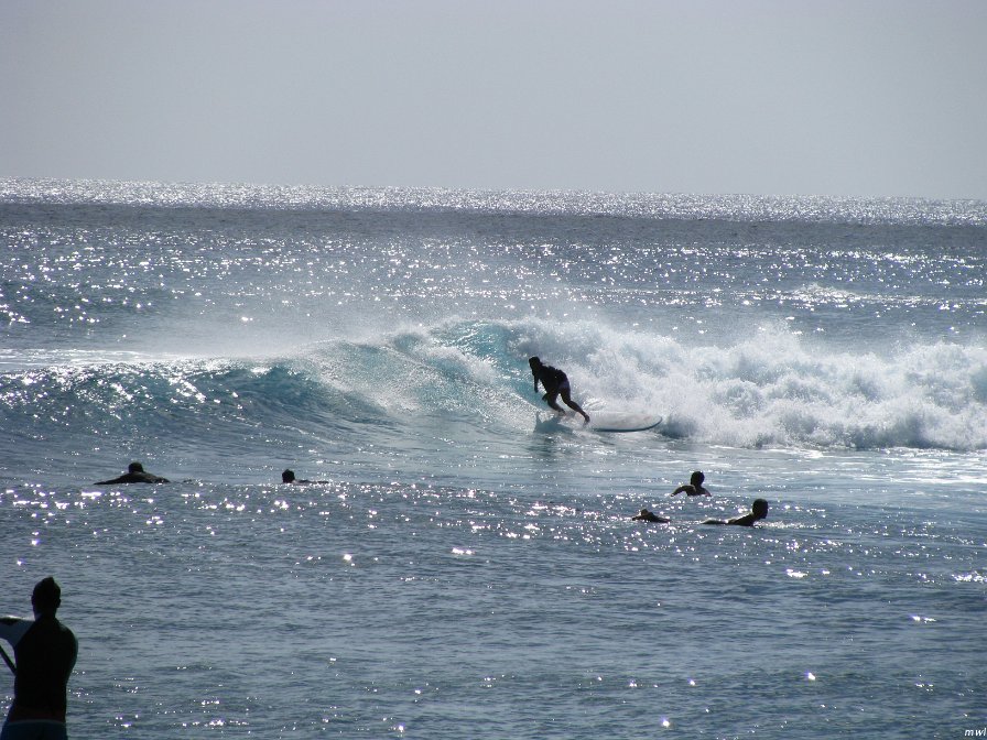 Visite de la côte occidentale de Oahu