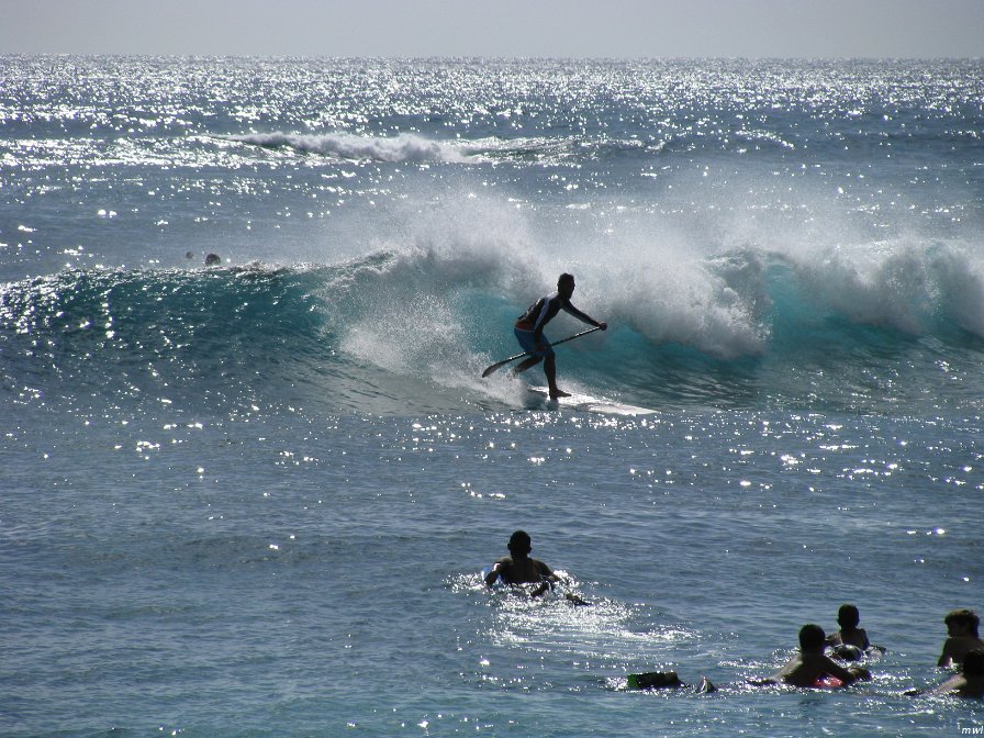 Visite de la côte occidentale de Oahu