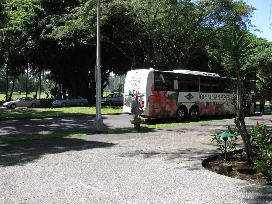 Hilo sur l'île d'Hawaii