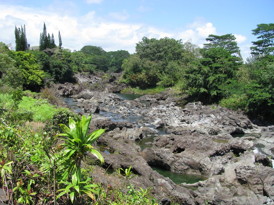 Visite de Big Island
