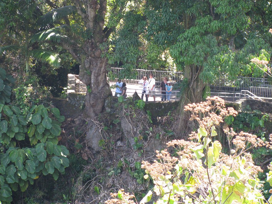 Visite de Big Island