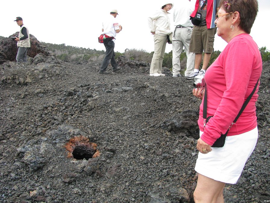 Visite des îles et des volcans de Big Island
