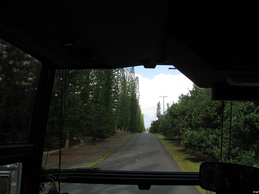 Visite des volcans