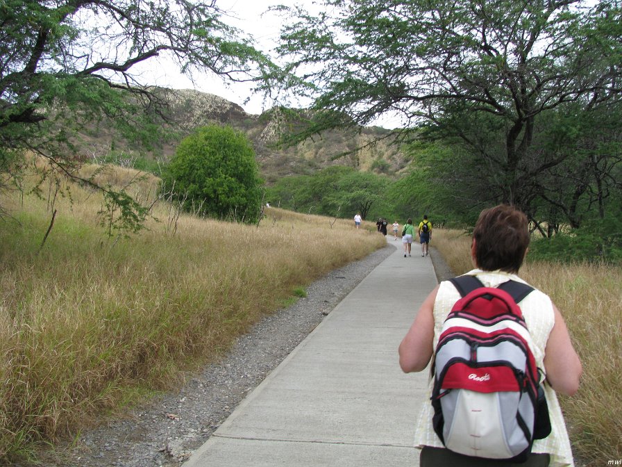 Visite du cratère Diamond Head