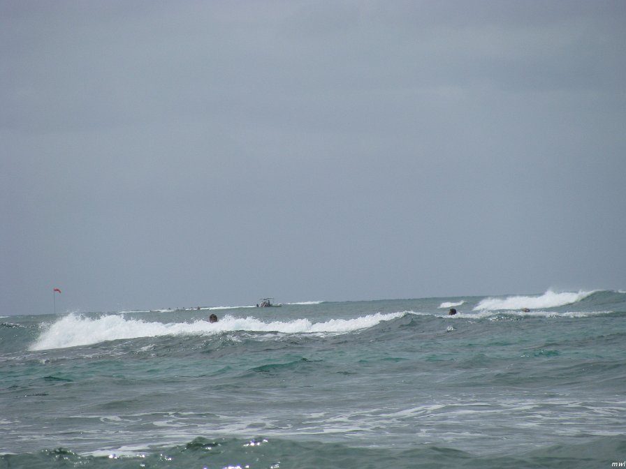 Voyage à Hawaii