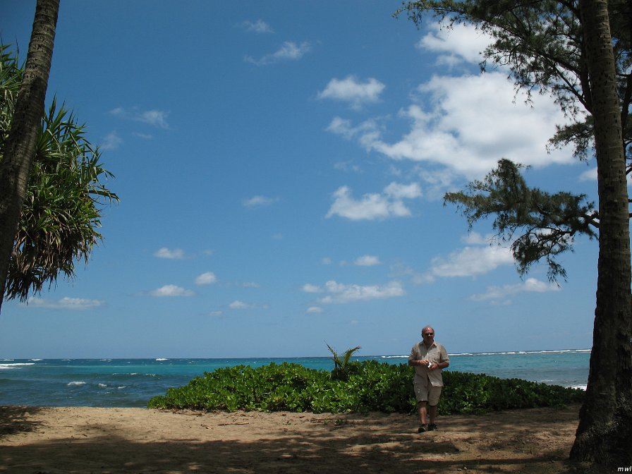 Tour de l'île côte est et le centre