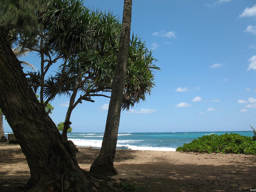 Tour de l'île côte est et le centre