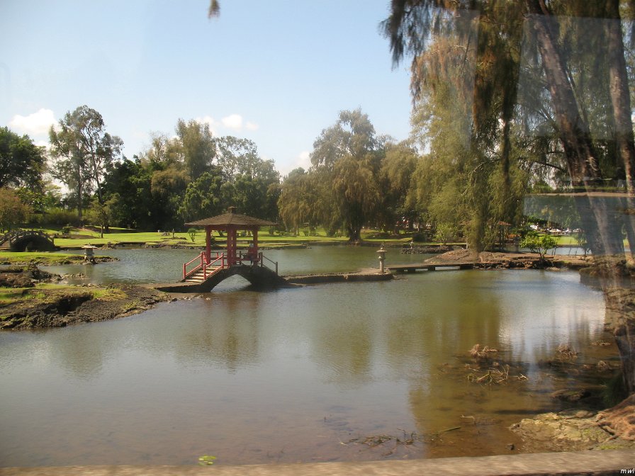 Hilo sur l'île d'Hawaii