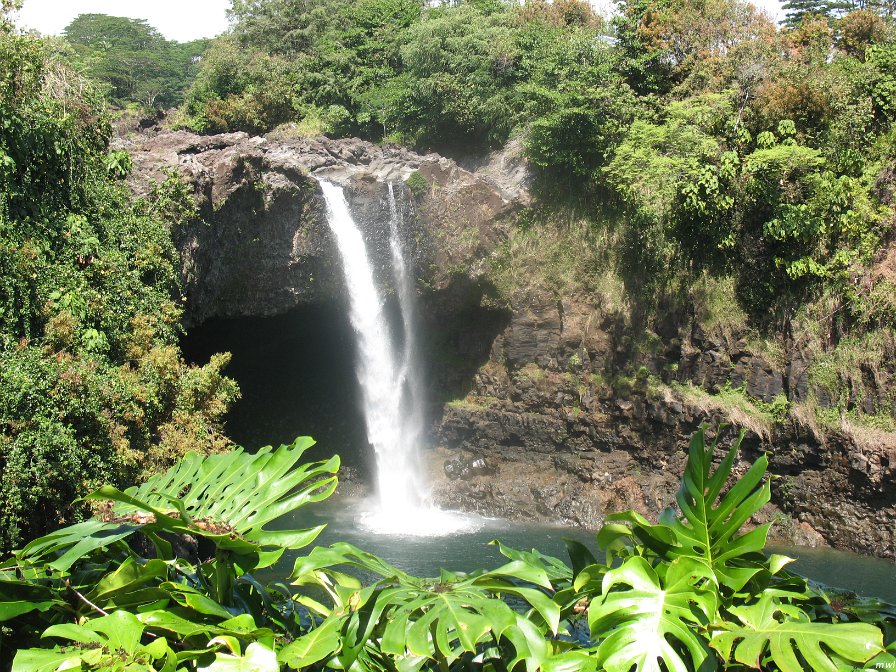 Visite de Big Island