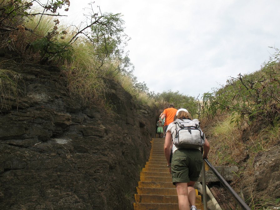 Visite du cratère Diamond Head