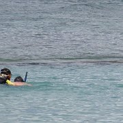 Plage de Waikiki