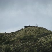 Visite du cratère Diamond Head