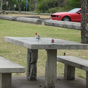 Kualoa Park - Tour de l'île côte est et le centre