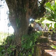 Visite de Big Island