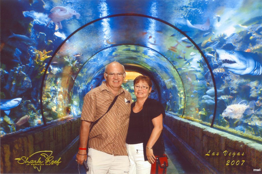 Aquarium