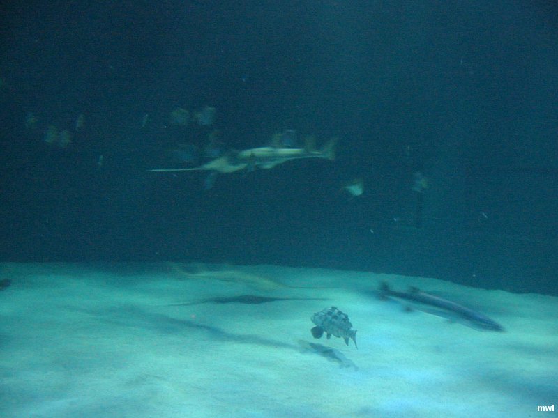 IMG 5937