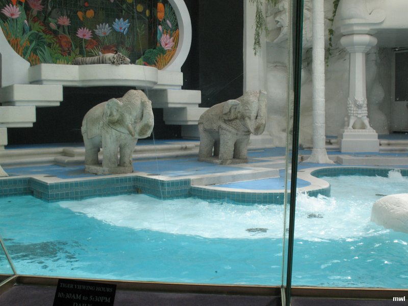 IMG 0989