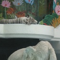 IMG 0988